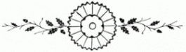 floral-divider 10 lg