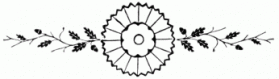 floral-divider 10 lg