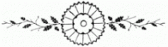 floral-divider 10 lg