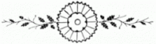 floral-divider 10 lg
