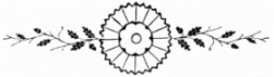 floral-divider 10 lg