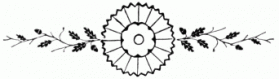 floral-divider 10 lg